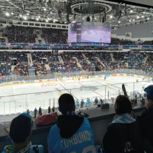 Визит китайских партнеров (декабрь 2024)