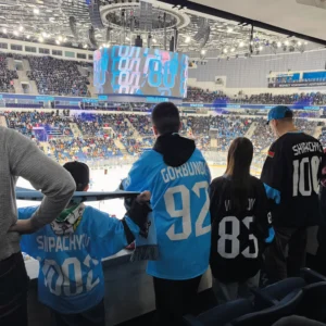 Визит китайских партнеров (декабрь 2024)